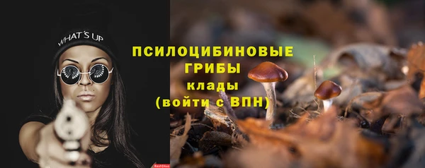а пвп мука Алзамай