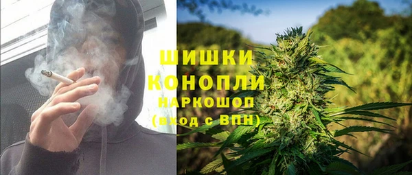 дмт Алексин