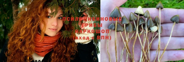 дмт Алексин