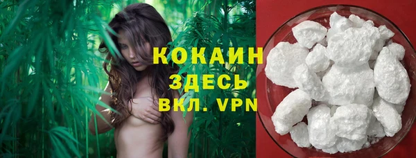 а пвп мука Алзамай